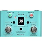 Amazon.com: BOSS DR-01S Rhythm Partner (DR-01S) : Musical Instruments