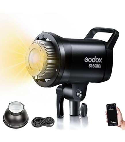 Godox SL60W Kit with Soft Box Softbox (Special Design for SL-60W