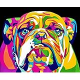 WXLZY Color Bulldog Animals Painting Diy Digital Painting By Numbers Modern Wall Art Picture For Home Wall Artwork 16X20inch
