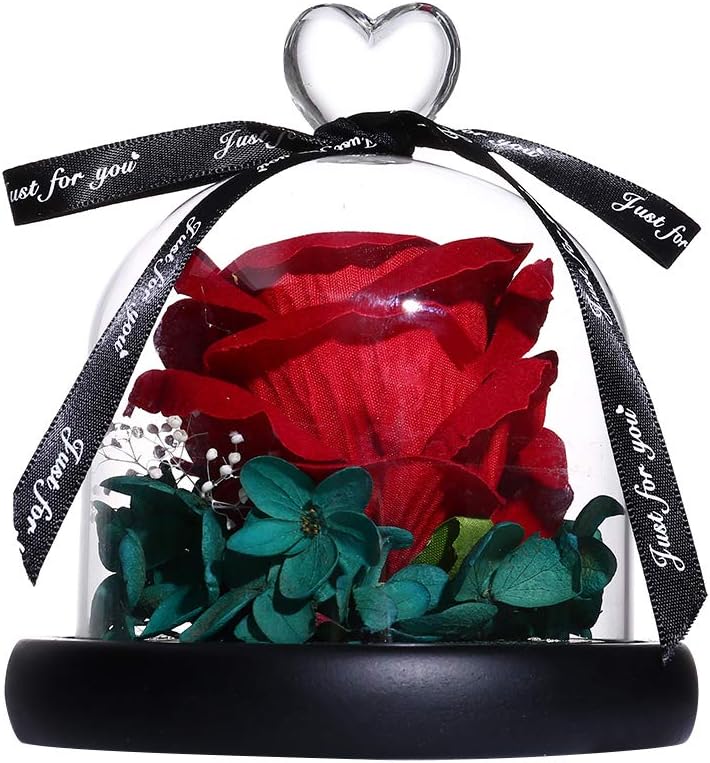 jiulonerst Eternal Rose in Glass Dome Romantic Rose