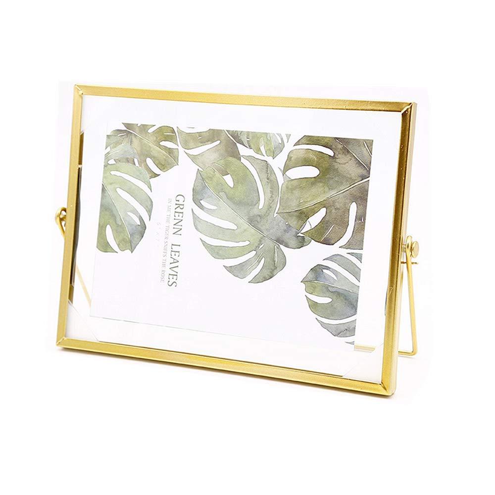 Leoyoubei Floating Glass Frame,Vintage Style and Glass Photo Frame Collection Metal Geometric Picture Frame,Double Glass,Metal Desk Vertical Frame 5x7 to 6x8 Photo Display (Horizontal-Gold)