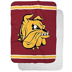 University of Minnesota Duluth Primary Logo Stripes