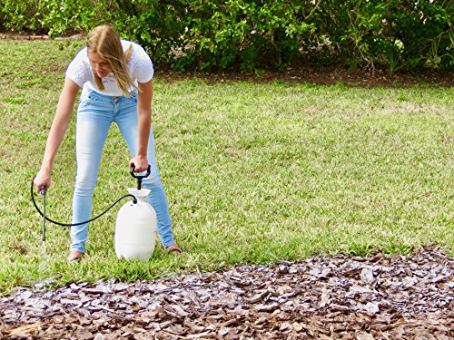 BLACK DIAMOND COATINGS PRO LANDSCAPE SERIES Mulch Binder (5 Gallon, Red)