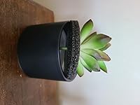 Review Image by Jay Nic