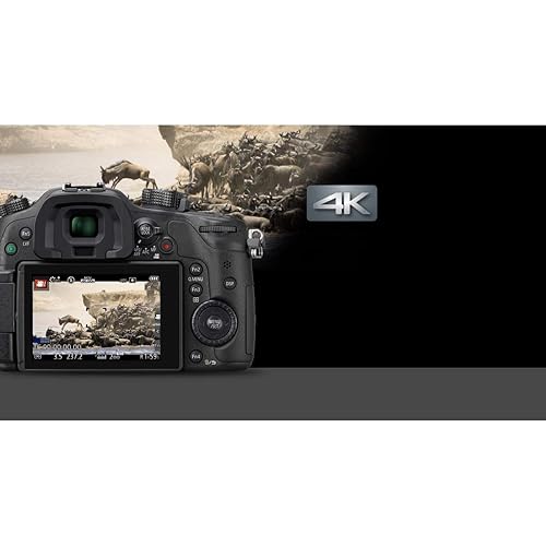 Panasonic LUMIX GH4 Body 4K Mirrorless Camera, 16 Megapixels,