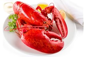 Maine Lobster Now - 2.5 lb Live Maine Lobster (2 Pack)