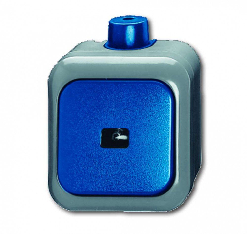 Busch-Jaeger 2621 WDI Rocker Switch