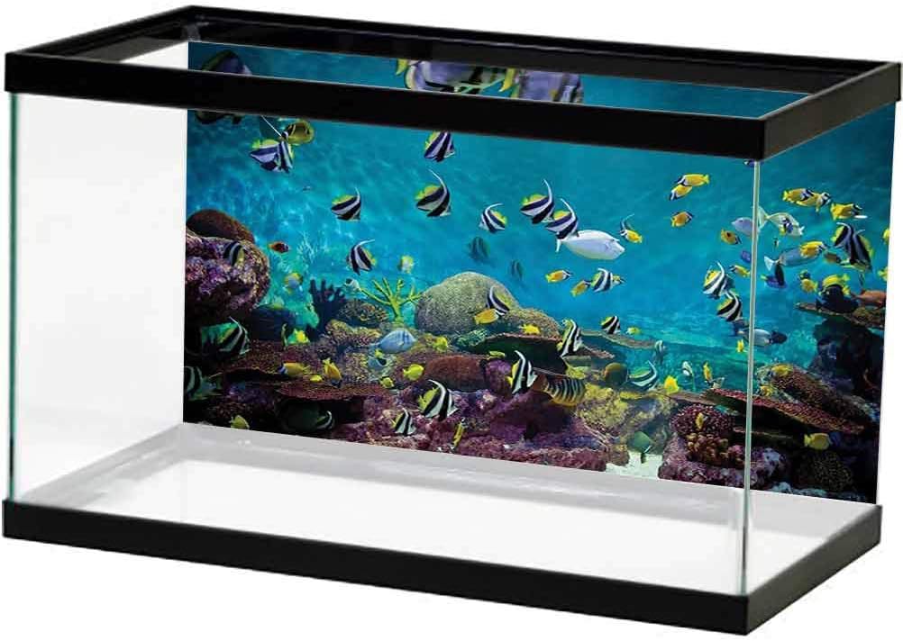Ocean Decor Collection Fish Tank Background Poster