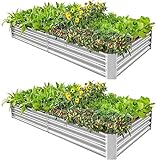 Land Guard 2 Pack 8×4×1ft Galvanized Metal Raised