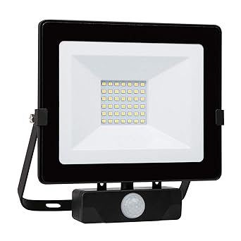 Chestele 30W LED Strahler mit Bewegungsmelder,IP 54 wasserdicht Hartglas wandleuchte,2400LM 4000K Flutlichtstrahler außen für