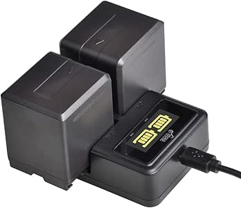 Amazon.com: VW-VBG260 Batteries (2-Pack) and LED Dual Charger for