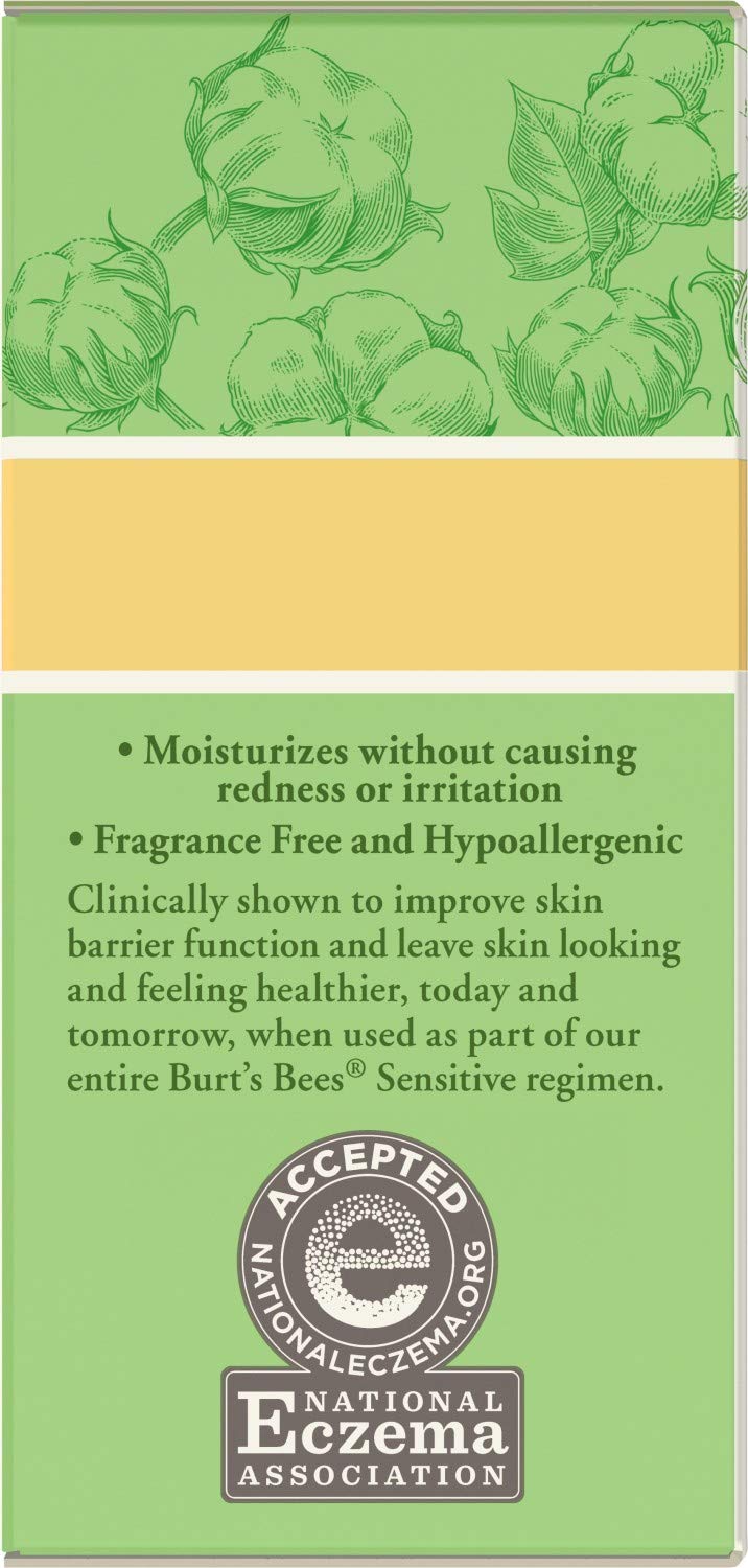 Burt's Bees Burt's Bees Eye Cream for Sensitive Skin, 0.5 Ounce: Beauty
