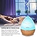 Aickar Egg Diffuser, 300ml Essential Oil Diffuser, Aromatherapy Diffuser with Touch Sensitive Buttons, Ultrasonic Cool Mist Humidifier with Night Light and Auto Shut-off Function