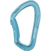 EDELRID Mission II Carabiner - Icemint Bent Gate | Mission II Carabiner
