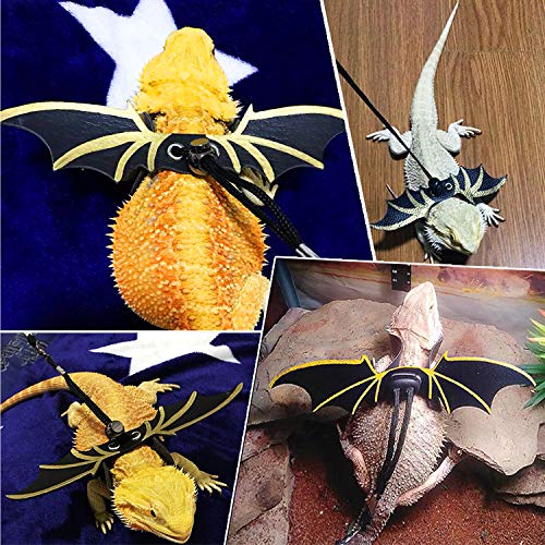 4 KUDES+Adjustable+Bearded+Reptiles+Amphibians