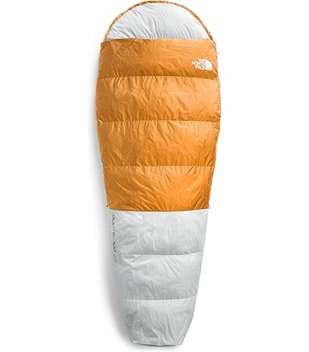 Amazon.com : The North Face Lynx Eco 35 Sleeping Bag Citrine