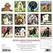 Just Toy & Miniature Poodles 2019 Wall Calendar (Dog Breed Calendar)