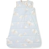 Burt's Bees Baby Unisex Newborn Essentials 100% Organic Cotton Beekeeper Wearable Blanket