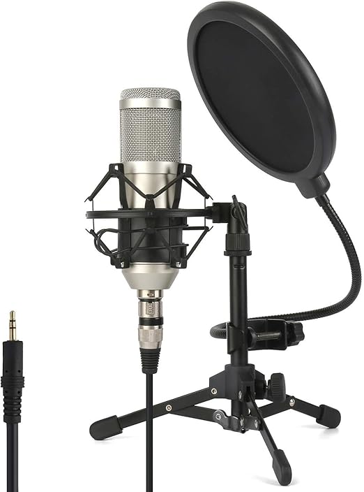 ZINGYOU Condenser Microphone ZY-801+, Professional Studio Microphone ...