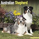 Australian Shepherd Calendar 2017 - Dog Breed Calendars - 2016 - 2017 wall calendars - 16 Month by Avonside