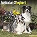 Australian Shepherd Calendar 2017 - Dog Breed Calendars - 2016 - 2017 wall calendars - 16 Month by Avonside