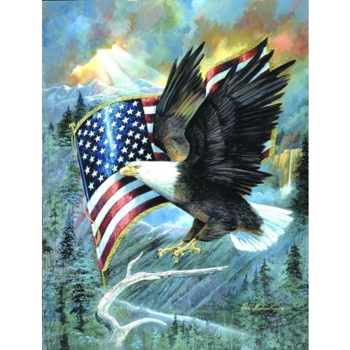 Sunsout American Eagle 500 Piece Jigsaw Puzzle