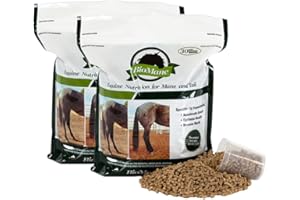 BioMane Hair Nutrition Supplement for Horses - 60 Day Supply (Resealable)