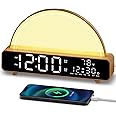 HAODINGMAI Sunrise Alarm Clock Wake Up Light with Sunrise Simulation White Noise Machine Touch Control Bedside Lamps Colors Atmosphere Lamp 30/60/90 Sleep Timer 13 Nature Sounds