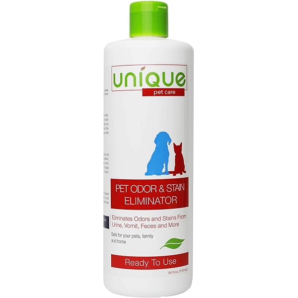 english ivy and dogs