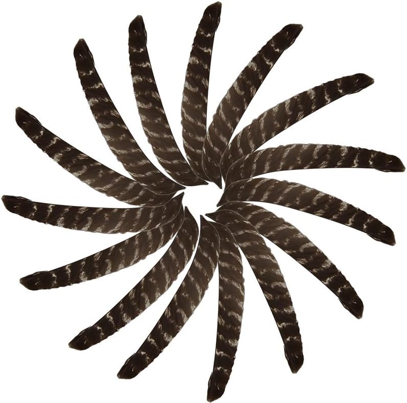 Huntingdoor Natural Archery DIY Turkey Feather Left Wing Pheasant Feathers Arrow Fletching Decoration 20pcs