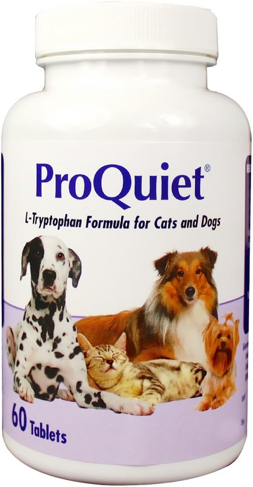 cute little dog names female