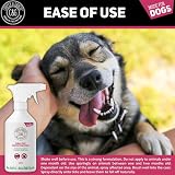 C&G Pets Dog Fleas Protection Spray 500ML Natural Avocado Coat Conditioner view 5