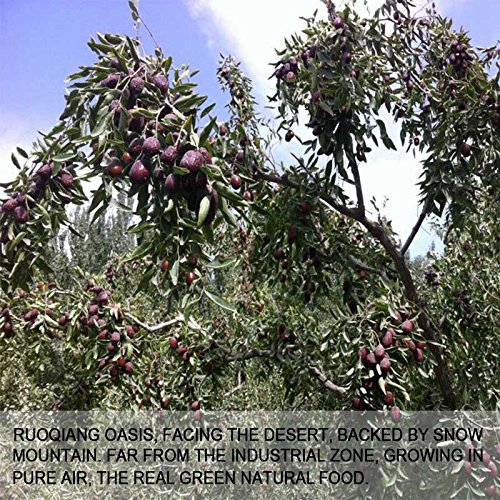Wananfu - Jujube Fruit Dried 17.6oz - Red Jujube Dates / Hongzao (红枣) - Healthy Snacks Superfood - Image 7