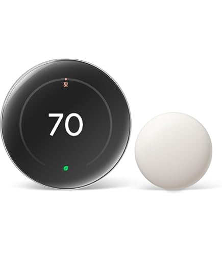 Google Nest Learning Thermostat (3rd Generation) (T3007ES-US