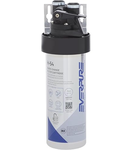 Amazon.com: Pentair Everpure H-54 Quick-Change Replacement