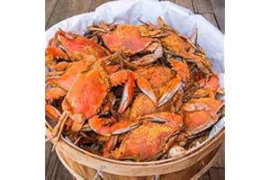 CAMERON'S SEAFOOD -EST. 1985 - Cameron's Seafood Large Maryland Blue Crabs Males Jimmys Steamed (Half Bushel)