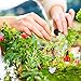 eBoot 56 Pieces Fairy Garden Accessories Miniatures Ornaments Kit for DIY Dollhouse Decor
