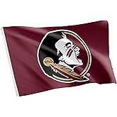 Desert Cactus Florida State University FSU Flag - 3 x 5 Feet Seminoles Banner, Indoor/Outdoor Durable Fabric, 100% Polyester Design (Style C)