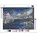 Chenway Christmas Diamond Painting Kit 5D for Adults, 3D DIY Full Drill Accessories Decor Large Paintings Kits Ornaments, Round Rhinestone Home Wall Art Decoration 40x30cm/ 30x30cm (F)