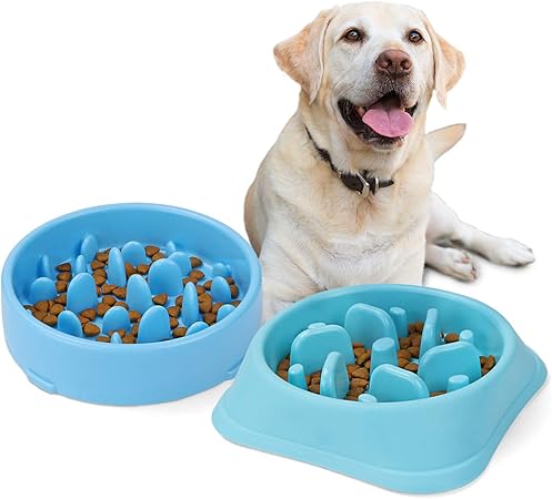 amazon dog slow feeder
