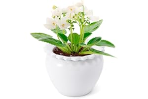 Lovely Ran Self Watering Plant Pot African Violet Pots Ceramic 6.5 * 4.6 * 4 inch White for Indoor Flowers and Plants Simple Plant Self Watering Pot Modern Decor Pots Efficient Absorption Water