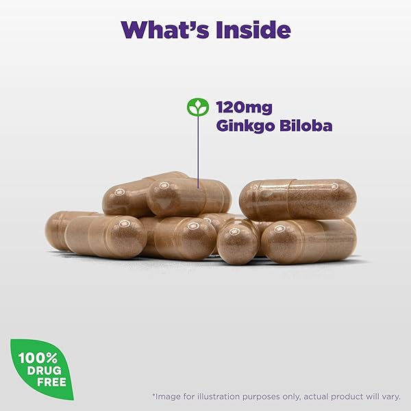 NATROL BRAIN HEALTH GINKGO BILOBA 120MG, DIETARY SUPPLEMENT FOR BRAIN HEALTH AND MEMORY SUPPORT, 60 CAPSULES, 60 DAY SUPPLY