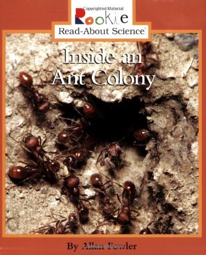 Inside an Ant Colony (Rookie Read-About Science) Paperback – 1 Aug. 1998