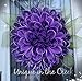 Unique in The Creek (UITC) Five (5) Pack Large Wreath Boards - Easy to Use, Plastic, Round 16