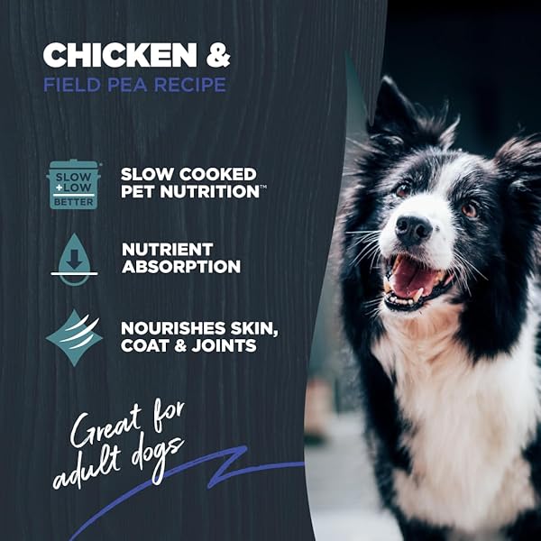 BLACKWOOD GRAIN FREE DRY DOG FOOD, CHICKEN & FIELD PEA RECIPE, 4.5 POUND BAG FOR ALL LIFE STAGES, SLOW COOKED WITH VITAMINS & MINERALS FOR A BALANCED DIET