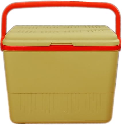 Carrefour 42l Grande Glaciere Isotherme Icebox Cool Ice Box Isotherme Avec Anse Pour Camping Pique Nique Aliments Et Boissons Etc Amazon Fr Sports Et Loisirs
