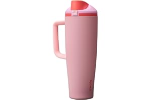 Owala FreeSip Tumbler Insulated Stainless Steel Water Bottle with Built-in Straw and Side Handle, for Travel, Work, School, a