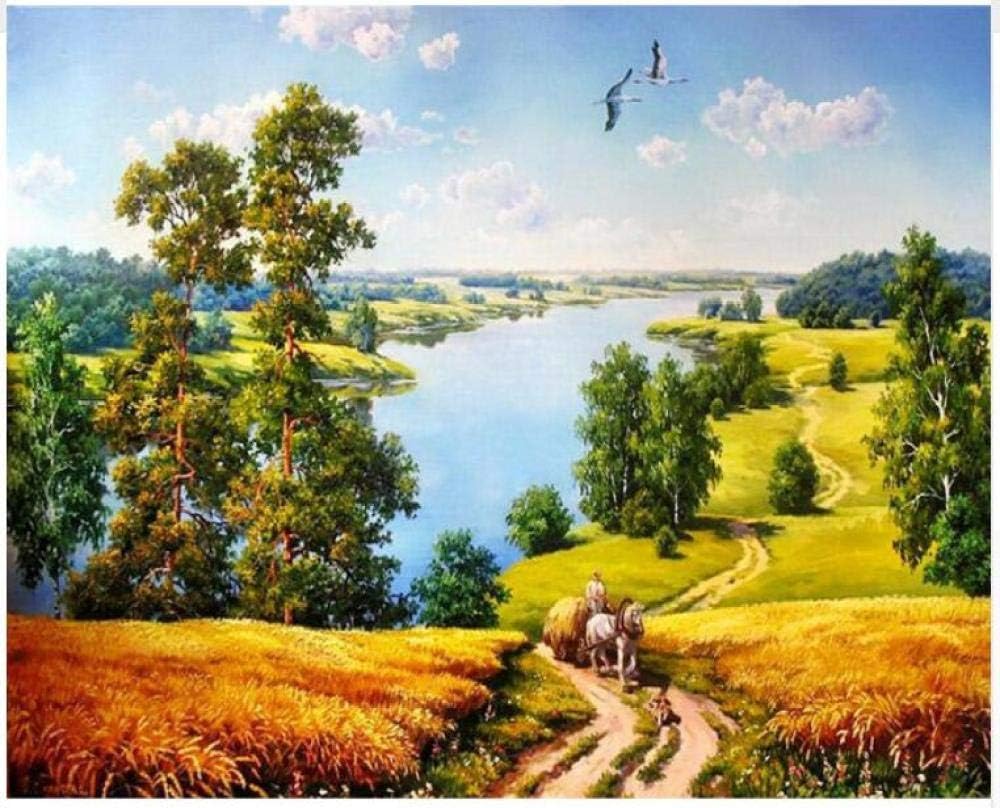 10 Mejores Caballos Apropiados Para Rutas : Diciembre 2020