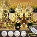 HSicily Fairy Lights Plug-in, 33ft 100 LED Twinkle String Lights with Remote Timer - 8 Modes for Bedroom, Christmas, Thanksgiving, Patio, Wedding, Party & Indoor/Outdoor Decor