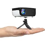 How to Enable SafeSearch Settings in Safari? 12 How to Enable SafeSearch Settings in Safari? 11